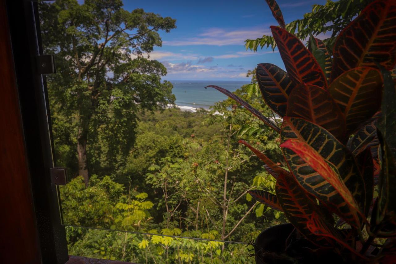 La Uvita Perdida Exteriér fotografie